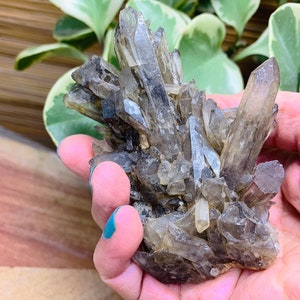 May include: A cluster of smoky quartz crystals, featuring a range of sizes and shapes. The crystals are a light brown colour and have a translucent appearance.