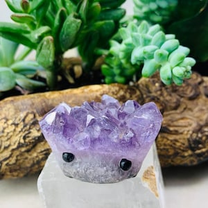 Mascota de erizo de cristal amatista (ADÓPTAME, POR FAVOR)