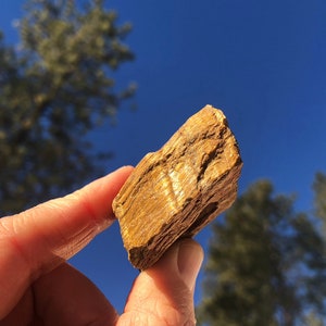 Tiger&#39;s Eye Rough Natural Stone