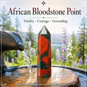 Ponta de Pedra de Sangue Africana - Aterramento e Vitalidade (7,5-10 cm)