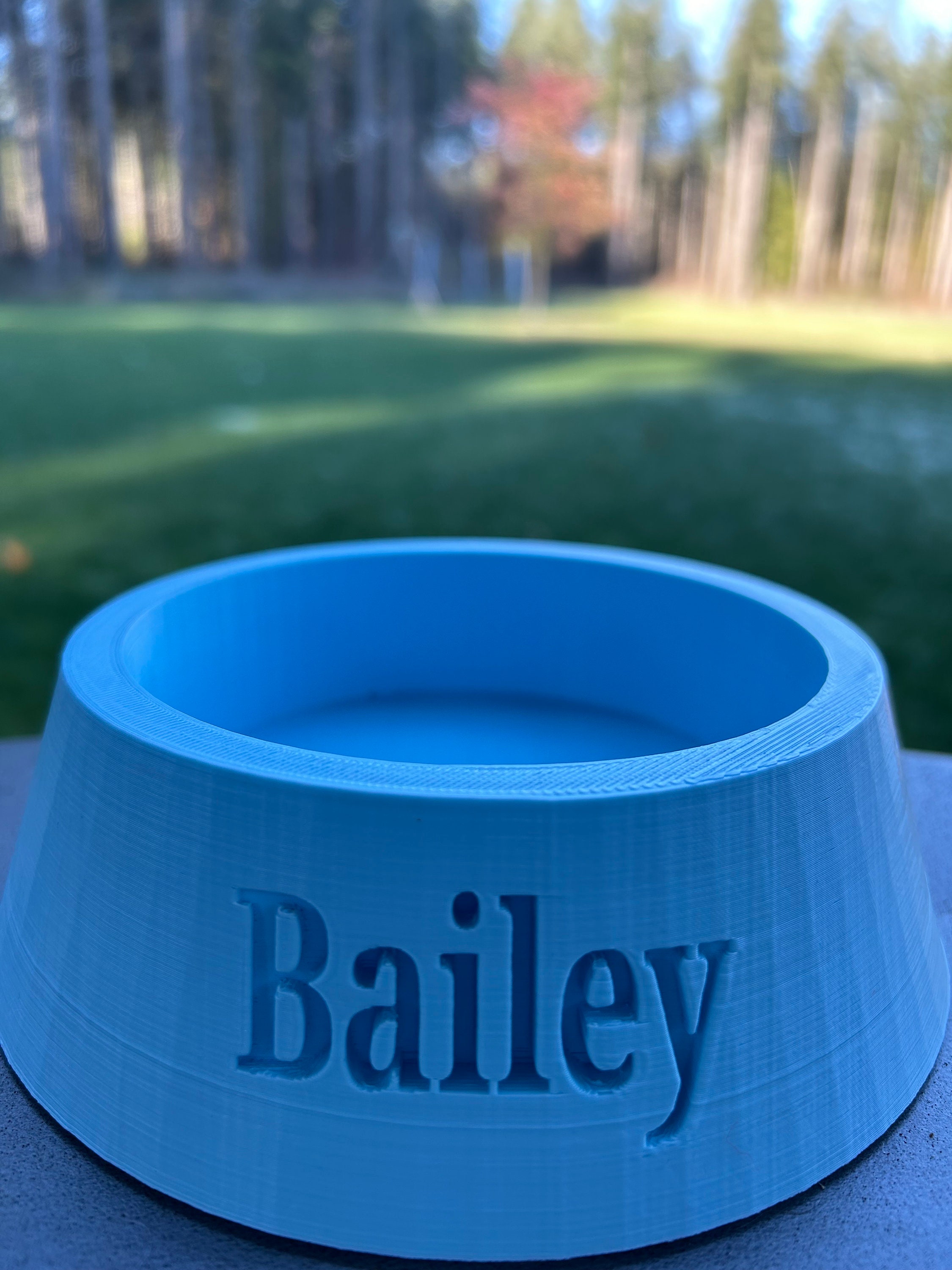 Personalized Small Dog Bowl Etsy