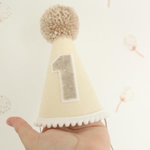 One Birthday Hat 1/2 Birthday Party Hat Half birthday party Baby 1/2 birthday Boy half birthday Boho Girl 1st Birthday party hat neutral hat