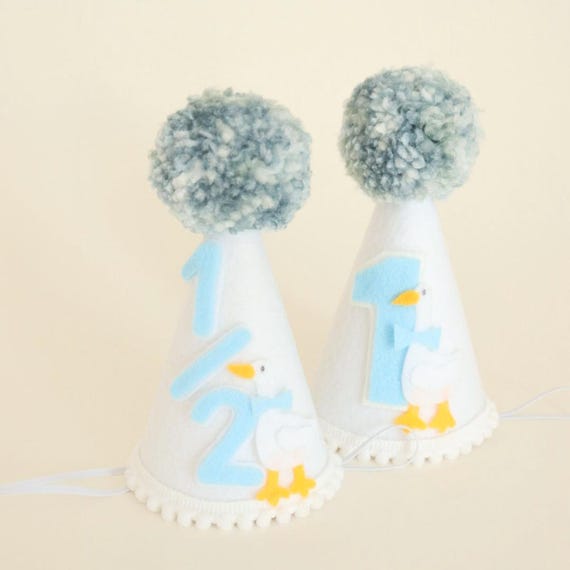One Silly Goose Birthday Party Hat Baby's First Birthday Silly