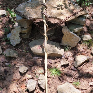 Wizard twisted staff