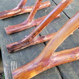 May include: Four rustic wooden wall hooks, each with a unique branch shape and a natural brown finish. The hooks are arranged in a staggered pattern on a wooden surface.