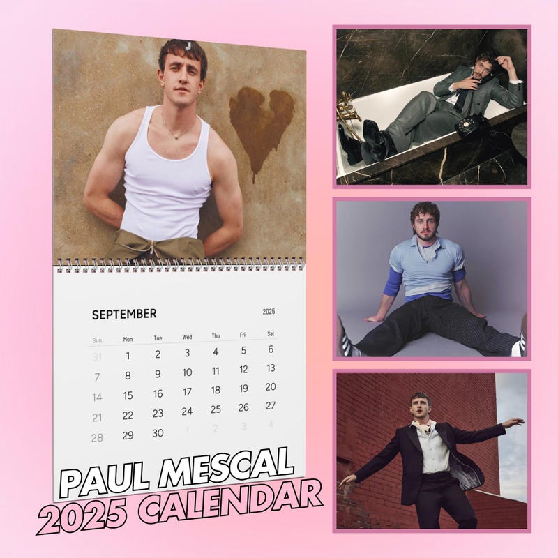 Paul Fan Merch Etsy
