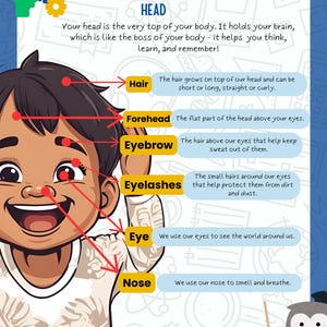 PRINTABLE  “Explore Your Body: A Fun Guide for Kids” for Toddlers, Homeschool, PreSchool ages 3 to 6 (12pages)