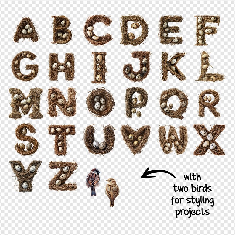 Nesting Letters Bird Nest Letters: Full Alphabet PNG Set on Transparent Backgrounds ...