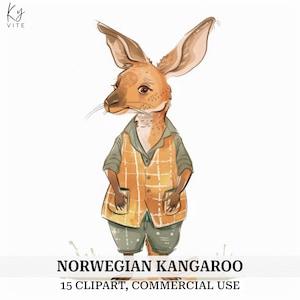 15 Clipart kangourou, kangourou en vêtements, kangourous lunatiques, clipart aquarelle imprimable, créations en papier, haute qualité, téléchargement numérique