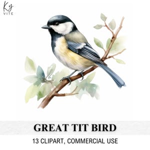 13 Clipart oiseau mésange charbonnière, mésange florale, clipart aquarelle imprimable, créations en papier, scrapbooking, journal, haute qualité, téléchargement numérique