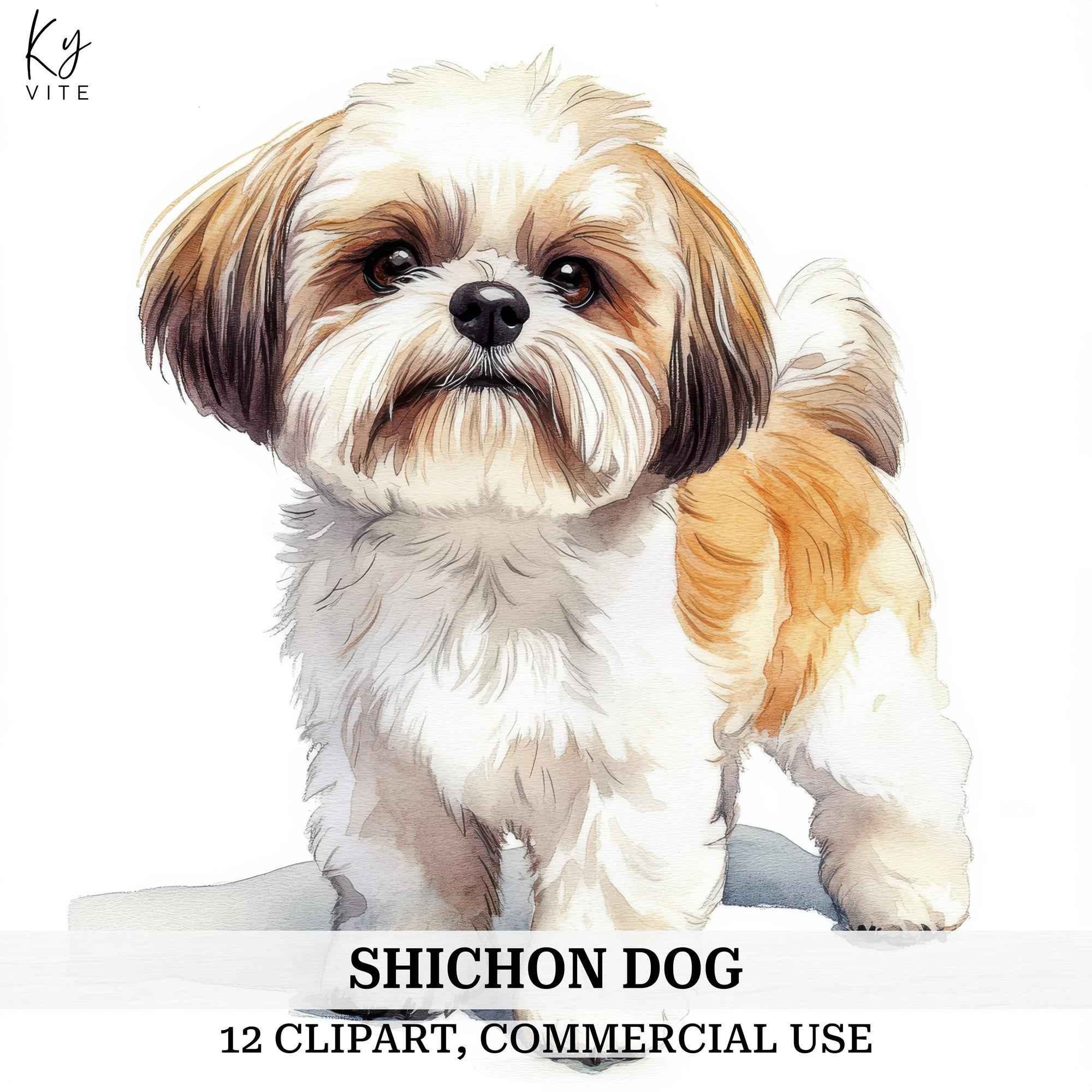 水彩画風シーズー犬クリップアート：シーズー犬のイラスト12点