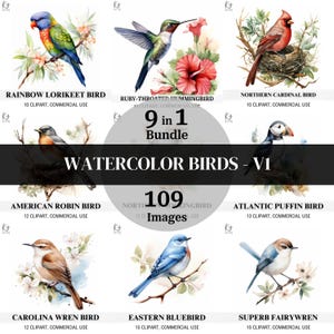 Lot de 109 oiseaux - V1, oiseaux aquarelles, images imprimables avec fond blanc, collage imprimable, journal, album, CU