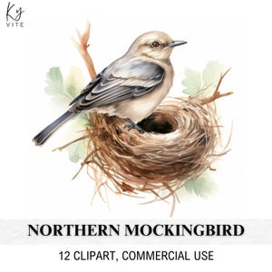 12 Northern Mockingbird clipart, afdrukbare aquarel clipart, papercraft, plakboek, dagboek, kaarten maken, hoge kwaliteit, digitale download