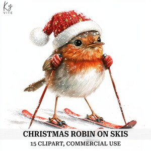 15 Christmas Robin on Ski's clipart, Bird Ski's, Christmas Craft, afdrukbare aquarel clipart, kaarten maken, hoge kwaliteit, digitale download