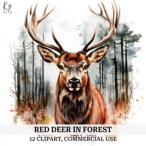 12 cerfs élaphe dans la forêt des cliparts, des cliparts cerf, des cliparts aquarelle imprimable de haute qualité, téléchargement numérique, créations en papier, scrapbooking