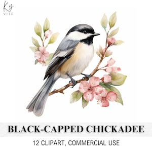 12 Pássaro chapim-de-coroa-preta, decoração de berçário, clipart de aquarela para impressão, artesanato em papel, álbum de recortes, diário, alta qualidade, download digital