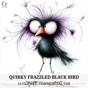 12 Frazzled Feather Black Bird Clipart, grillige vogel, afdrukbare aquarel Clipart, Paper Craft, plakboek, hoge kwaliteit, digitale download