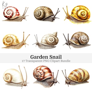 17 Clipart escargot, escargot, Bundle PNG transparent, PNG coupe difficile, collage Papercraft imprimable, journal, scrapbooking, téléchargement numérique