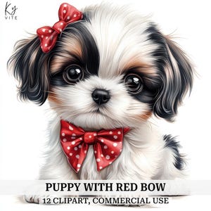 Chiot avec noeud des cliparts, chien avec un noeud rouge, Shih Tzu clipart aquarelle imprimable, fabrication de cartes, créations en papier, haute qualité, téléchargement numérique