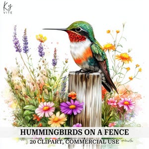 20 kolibries op hek clipart, Christmas Bird, Christmas Craft, afdrukbare aquarel clipart, kaarten maken, hoge kwaliteit, digitale download