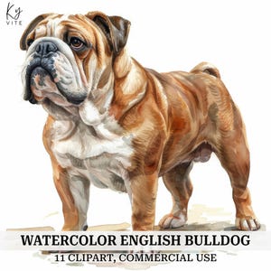 11 imágenes prediseñadas de bulldog inglés, imágenes prediseñadas de acuarela imprimibles, manualidades de papel, álbumes de recortes, diarios, alta calidad, descarga digital
