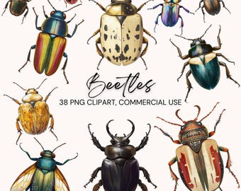 Watercolor Beetle Clipart, Vintage Insect PNG Digital Download, Antique Bug Art for Journals