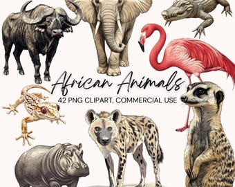 African Animal Clipart: Safari PNG Bundle for Collage (Digital Download)