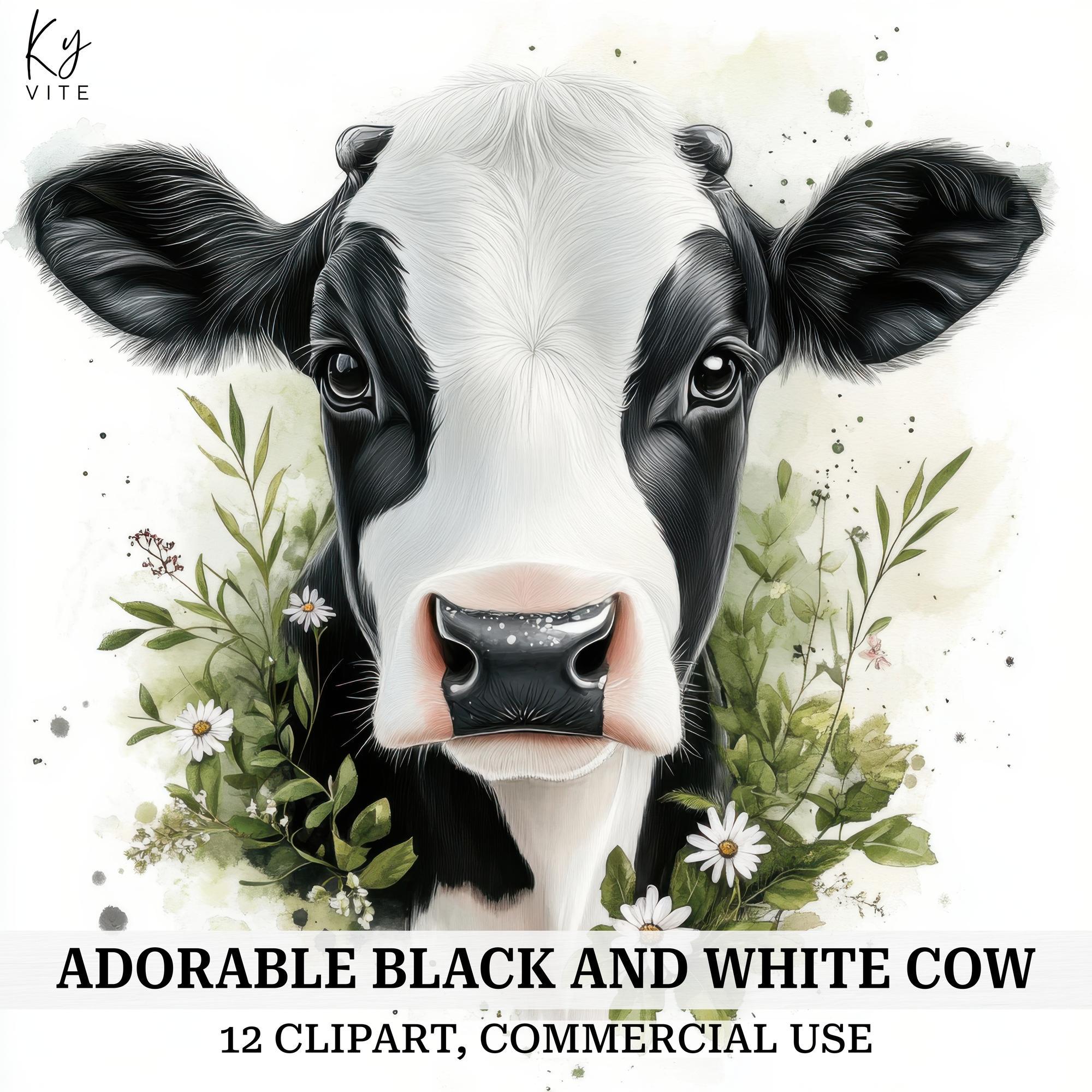 12 Cow Face Clipart, Black and White Cow, Printable Watercolor Clipart, Paper Craft, Scrapbooks, Journals, High Quality, Digital Download