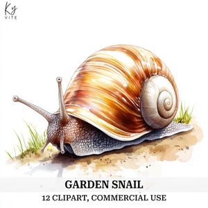 12 tuinslak clipart, slak illustratie, afdrukbare aquarel clipart, Paper Craft, plakboek, dagboek, hoge kwaliteit, digitale download