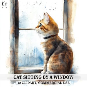 12 kat zit bij een raam clipart, kat kijkt uit een raam, afdrukbare aquarel clipart, kaarten maken, hoge kwaliteit, digitale download