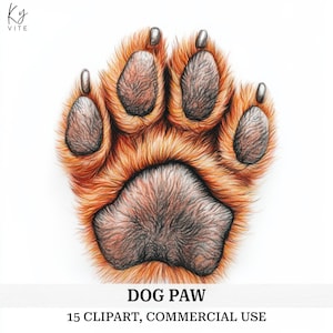 15 Clipart Illustration de patte de chien, dessin de patte, patte de chien imprimable aquarelle Clipart, créations en papier, haute qualité, téléchargement numérique, CU