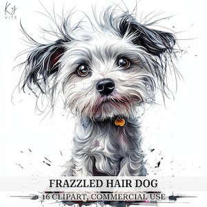 16 rommelig haar hond clipart, schattige honden, frazzled puppy, afdrukbare aquarel clipart, Paper Craft, plakboek, hoge kwaliteit, digitale download
