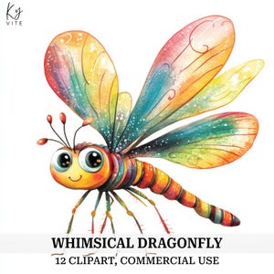 12 Whimsical Dragonfly Clipart, Colorful Dragonfly, Printable Watercolor, Paper Craft, Journal, Scrapbook, High Quality, Digital Download