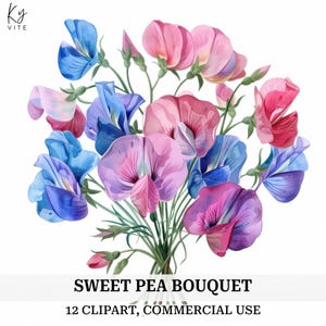 12 Clipart de buquê de ervilhas doces, floral vintage, clipart de aquarela para impressão, artesanato em papel, álbum de recortes, diário, alta qualidade, download digital