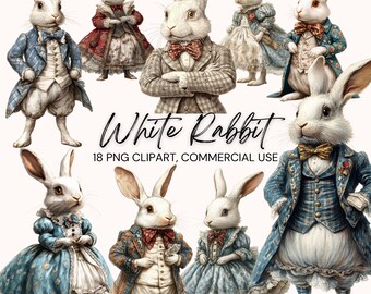 White Rabbit Watercolor Clipart Cotton Bunny Transparent PNG Bundle Digital Download Commercial Use