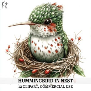 12 kolibrie in nest clipart, groene kolibrie, Papercraft, afdrukbare aquarel clipart, kaarten maken, hoge kwaliteit, digitale download, CU