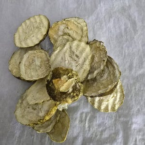 Freeze dried dill pickle chips