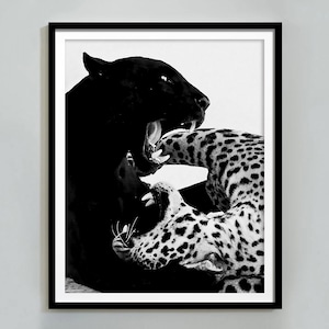 Vintage Cheetah Jaguar Print: 1950s Fashion Photography (Digital Download