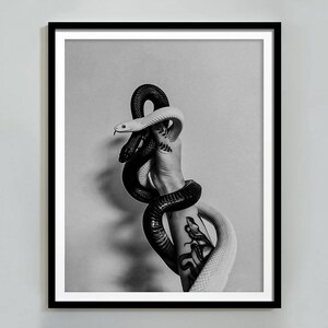 Black and White Snake Poster: Fashion Wall Art (Digital Download)