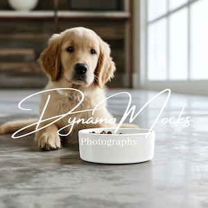 Ceramic Pet Bowl Mockup, Ceramic Dog Bowl Mockup, Styled Pet Mockup, Pet Food Bowl Mockup, Dog Cat Bowl