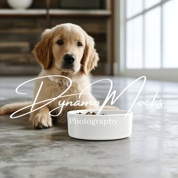 Ceramic Pet Bowl Mockup, Ceramic Dog Bowl Mockup, Styled Pet Mockup, Pet Food Bowl Mockup, Dog Cat Bowl