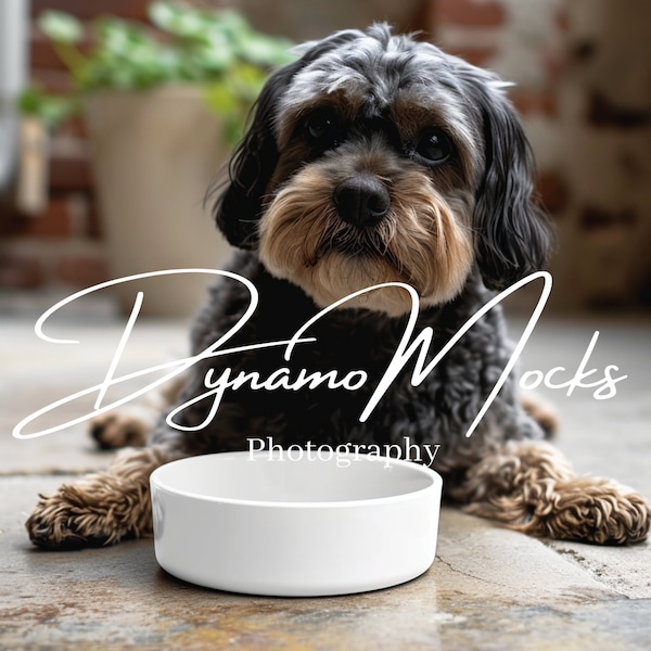 Ceramic Pet Bowl Mockup, Ceramic Dog Bowl Mockup, Styled Pet Mockup, Pet Food Bowl Mockup, Dog Cat Bowl