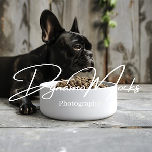 Ceramic Pet Bowl Mockup, Ceramic Dog Bowl Mockup, Styled Pet Mockup, Pet Food Bowl Mockup, Dog Cat Bowl