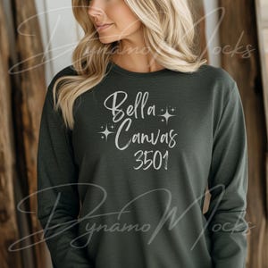 May include: Dark green long-sleeve shirt with the text "Bella + Canvas 3501" in white script. The shirt has a crew neck and long sleeves. The fabric appears to be soft and comfortable.