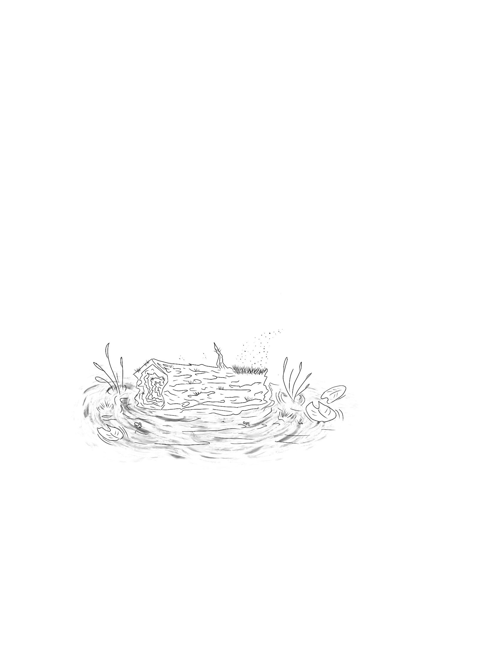 Bog Printable Colouring Page - Etsy