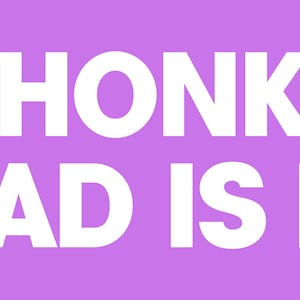 Peut inclure: Un fond violet avec du texte blanc qui dit "DON'T HONK AT ME MY DAD IS DEAD".