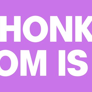 Op de afbeelding: Paarse achtergrond met witte tekst die "Toeter niet, mijn moeder is dood." zegt.