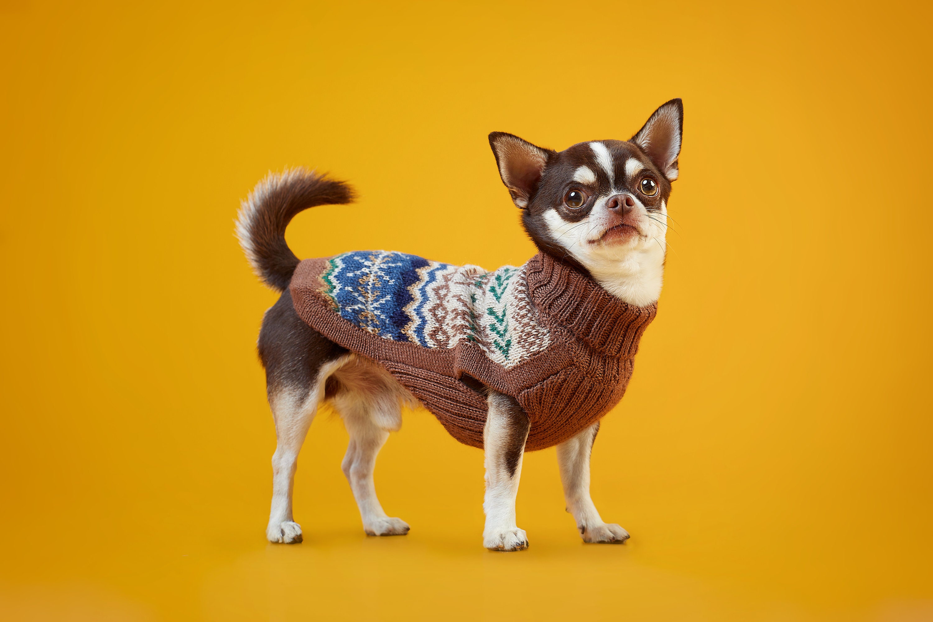 Arctic Cat Sweater Etsy Ireland
