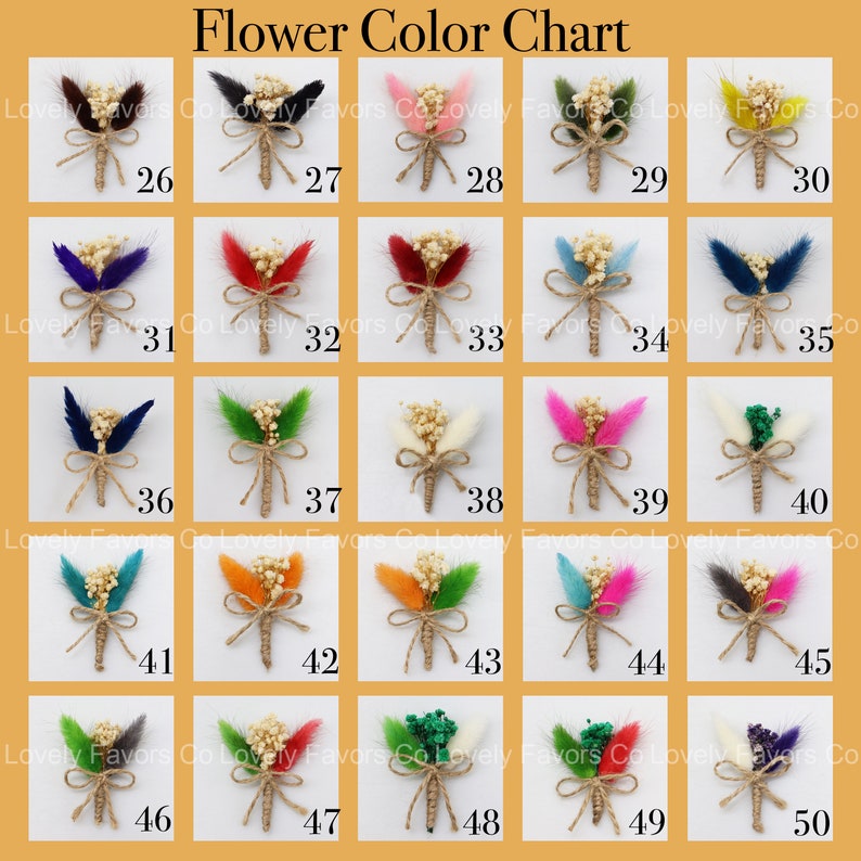 May include: Colour chart displaying 50 different colours of small flower bouquets. Each bouquet is tied with twine and has a number from 26 to 50.