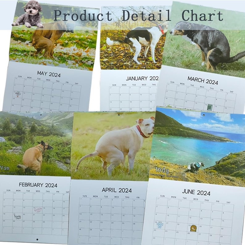 2024 Calendar Dogs Pooping in Beautiful Places Wall Calendar Etsy